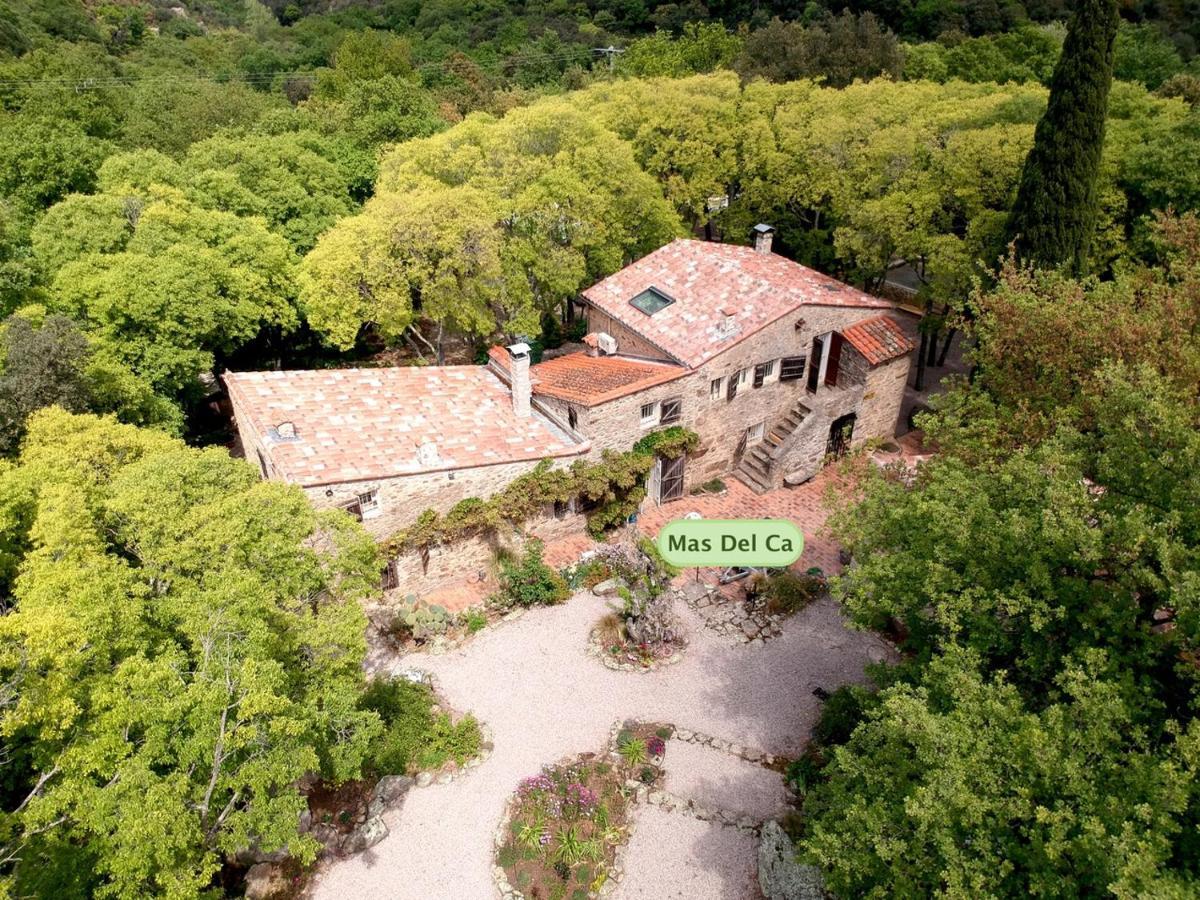 Mas Del Ca Adult Only Bed & Breakfast Sorède Exterior foto