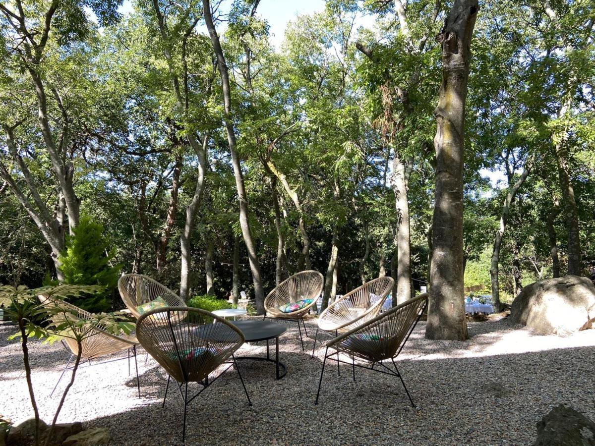 Mas Del Ca Adult Only Bed & Breakfast Sorède Exterior foto