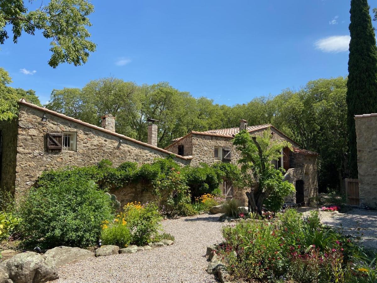 Mas Del Ca Adult Only Bed & Breakfast Sorède Exterior foto