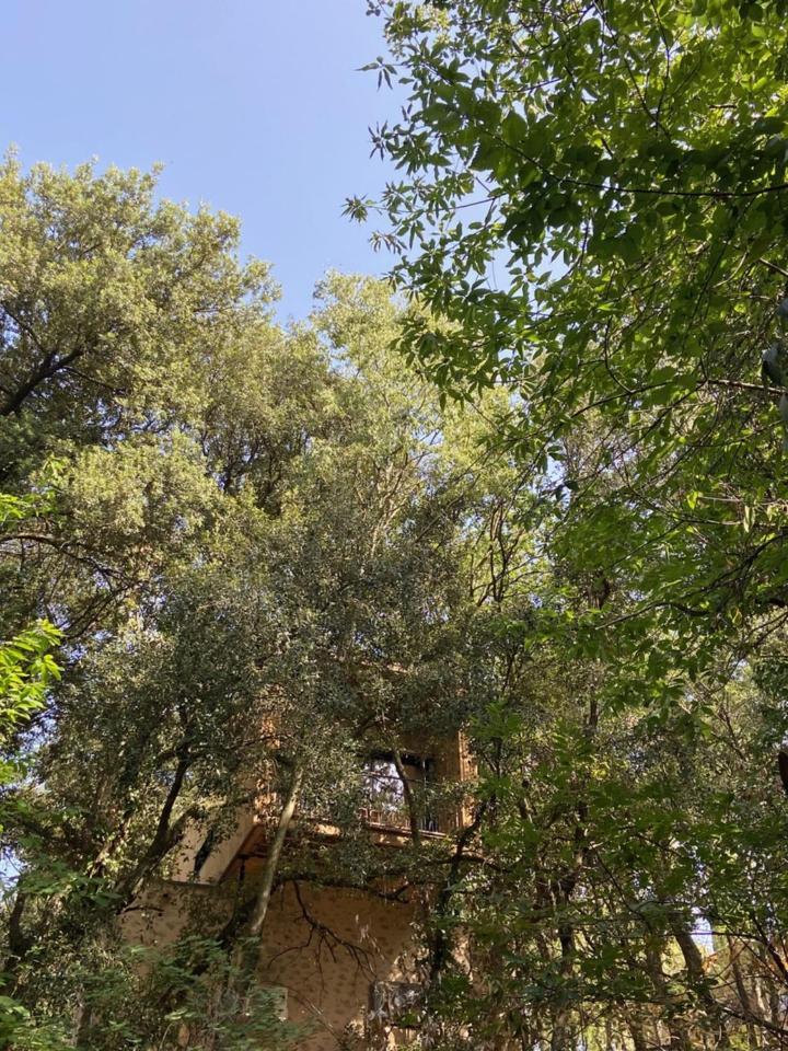 Mas Del Ca Adult Only Bed & Breakfast Sorède Exterior foto